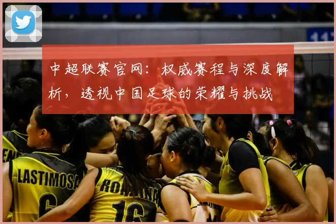 中超联赛官网：权威赛程与深度解析，透视中国足球的荣耀与挑战