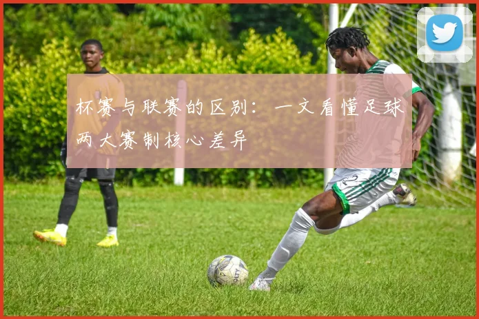 杯赛与联赛的区别：一文看懂足球两大赛制核心差异