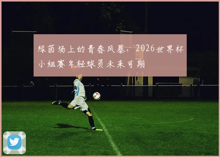 绿茵场上的青春风暴，2026世界杯小组赛年轻球员未来可期