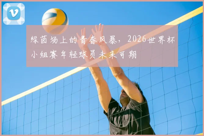 绿茵场上的青春风暴，2026世界杯小组赛年轻球员未来可期