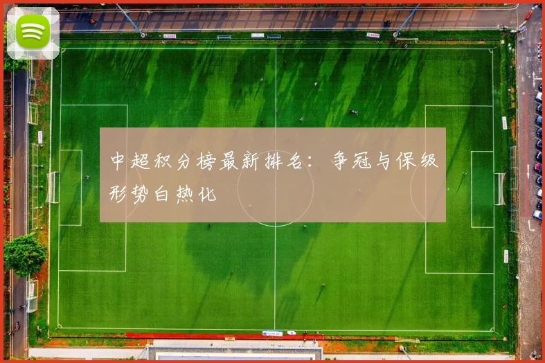 中超积分榜最新排名：争冠与保级形势白热化